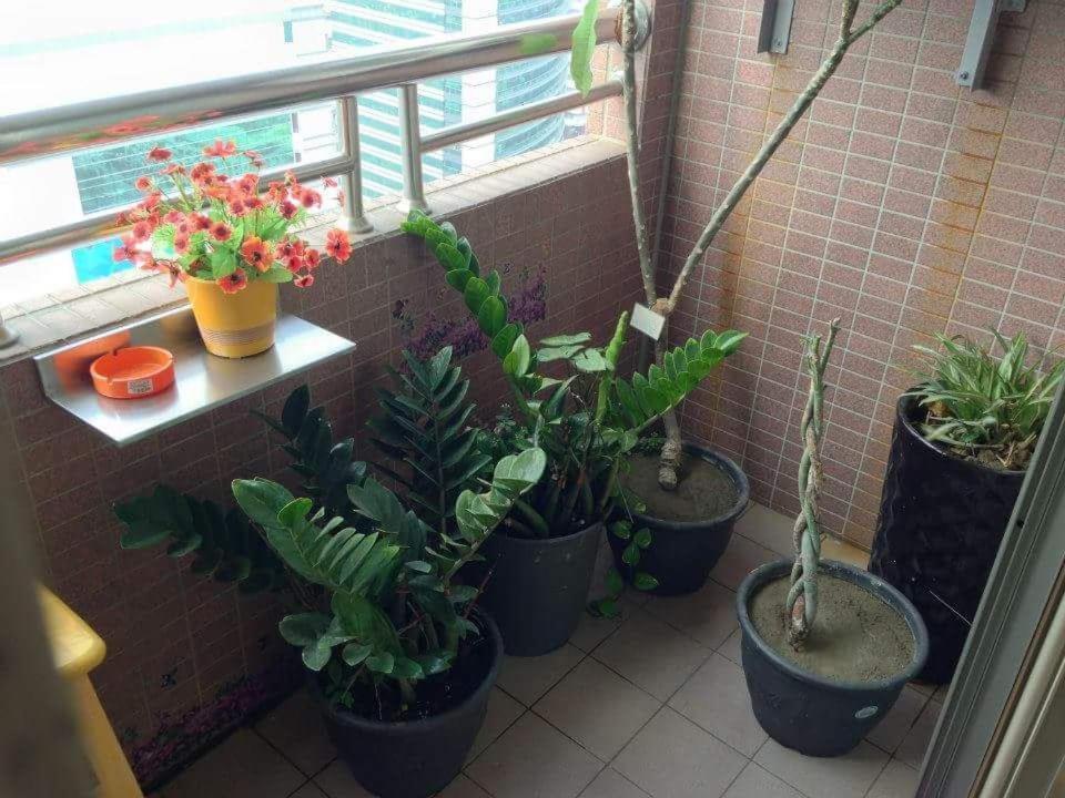 Jia Jia House Apartment Каосюн Екстериор снимка